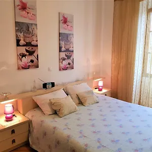 https://noemi-city-apartments.in-istria.net